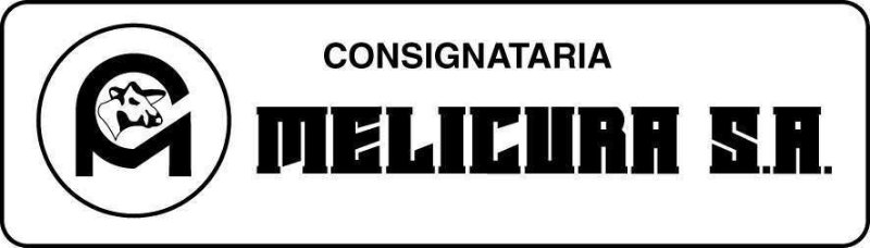 Consignataria MelicurÃ¡ S.A.