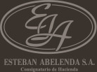 Esteban I. Abelenda