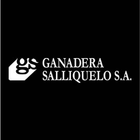 Ganadera SalliquelÃ³ S.A.