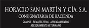 Horacio San MartÃ­n y CÃ­a S.A.
