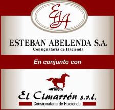 Esteban Abelenda - El CimarrÃ³n
